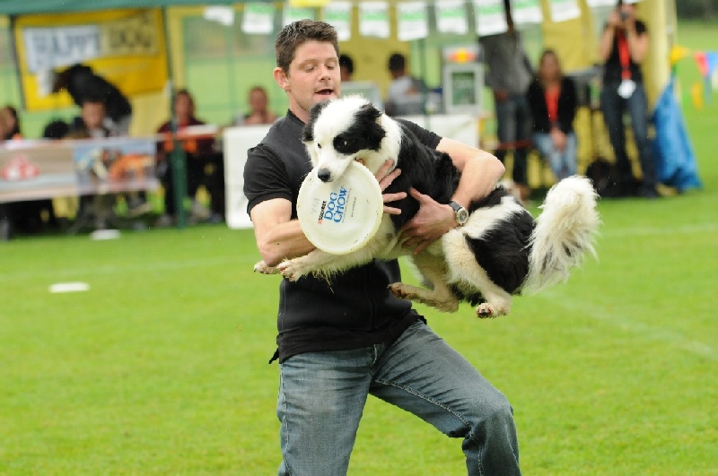 Image 306 of 855  -  199 kB