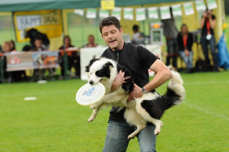 Image 307 of 855  -  193 kB