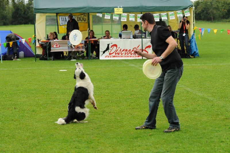 Image 308 of 855  -  261 kB