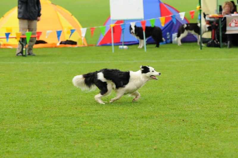 Image 309 of 855  -  229 kB