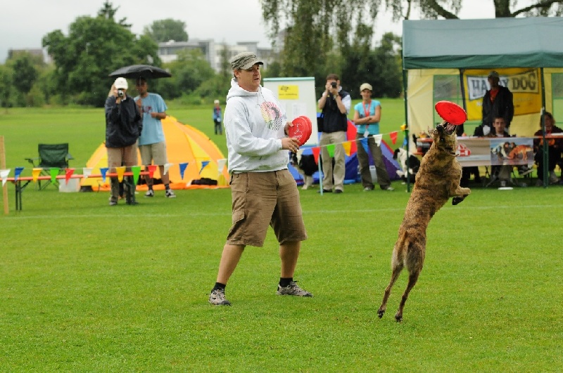 Image 310 of 855  -  261 kB