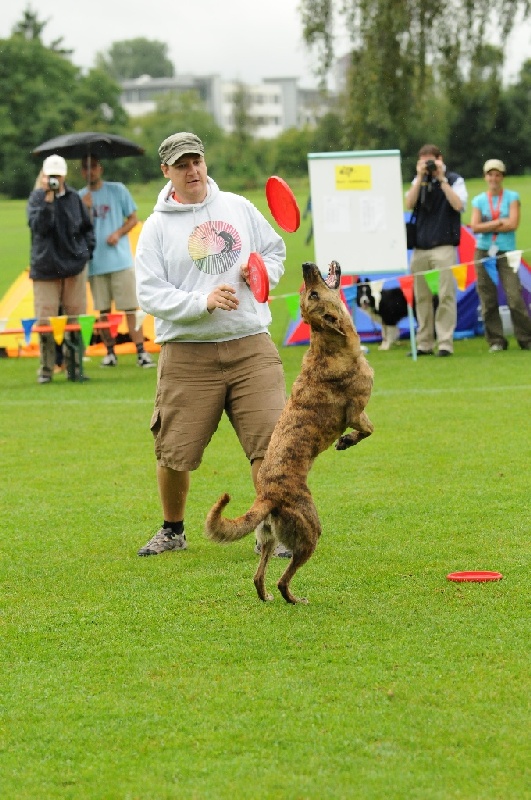 Image 311 of 855  -  256 kB