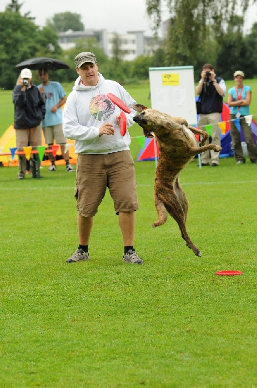 Image 312 of 855  -  258 kB