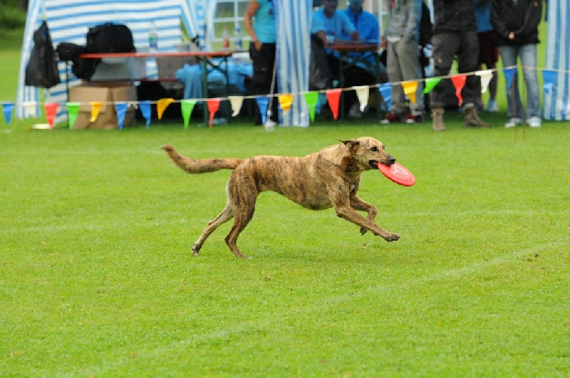 Image 313 of 855  -  243 kB