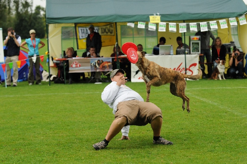 Image 315 of 855  -  255 kB