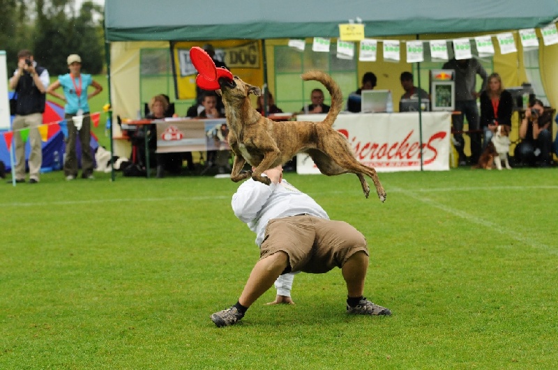 Image 316 of 855  -  249 kB