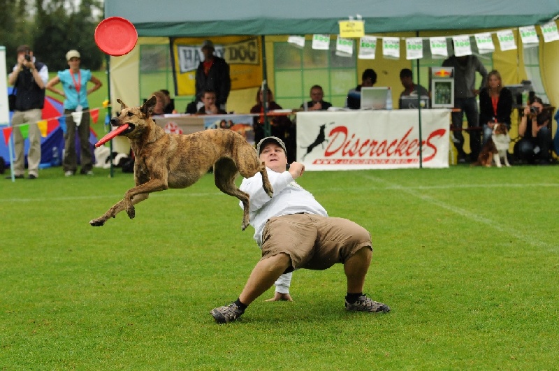 Image 317 of 855  -  256 kB