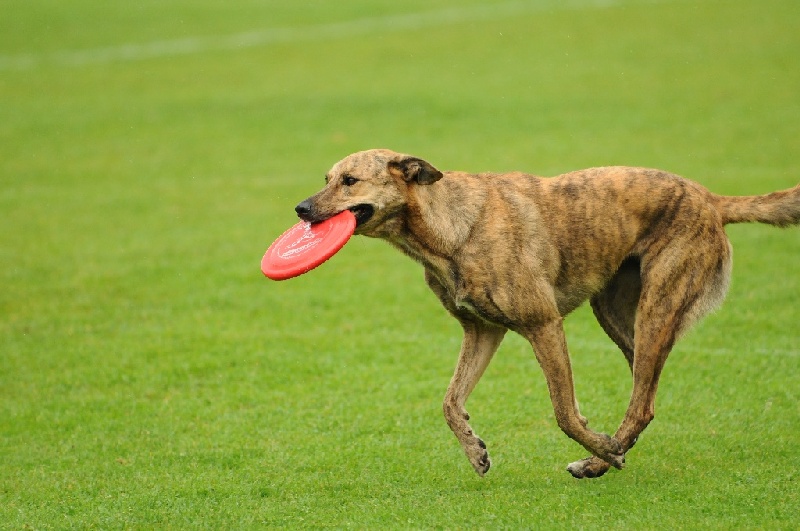 Image 318 of 855  -  206 kB