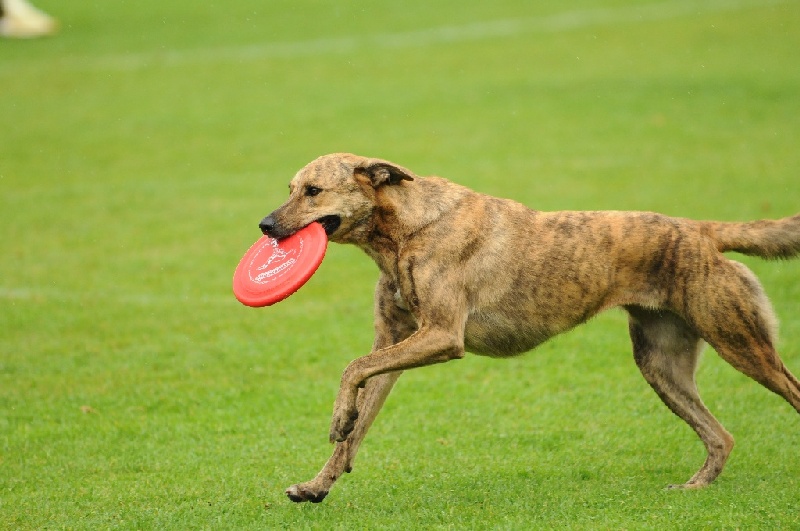 Image 319 of 855  -  203 kB