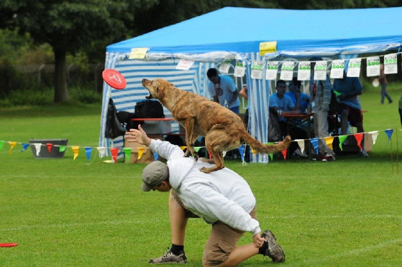 Image 320 of 855  -  242 kB