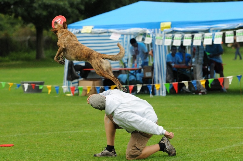 Image 321 of 855  -  221 kB