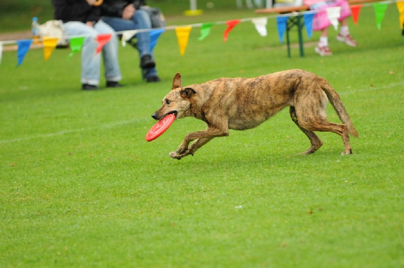 Image 322 of 855  -  211 kB