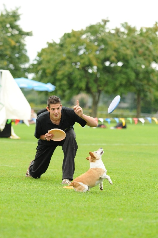 Image 324 of 855  -  192 kB