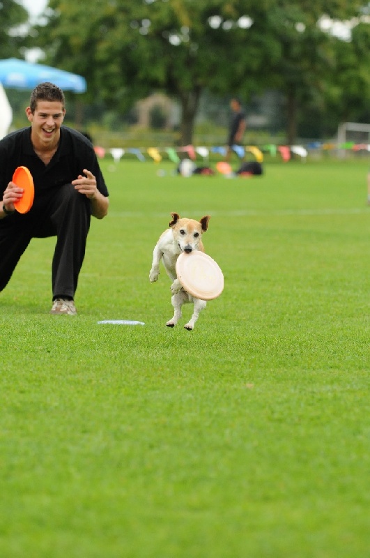 Image 325 of 855  -  191 kB