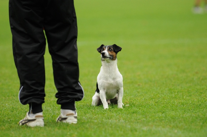 Image 326 of 855  -  179 kB