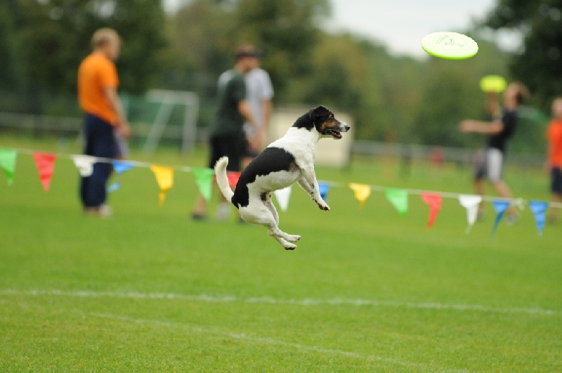 Image 327 of 855  -  175 kB