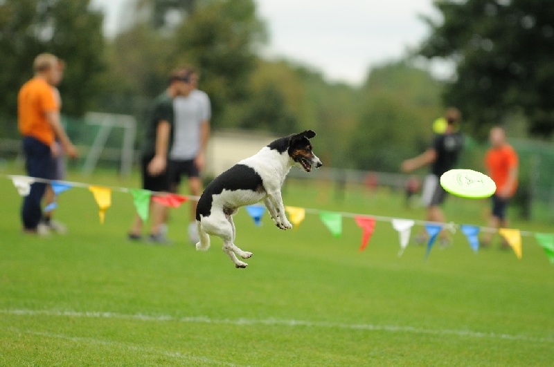 Image 328 of 855  -  174 kB