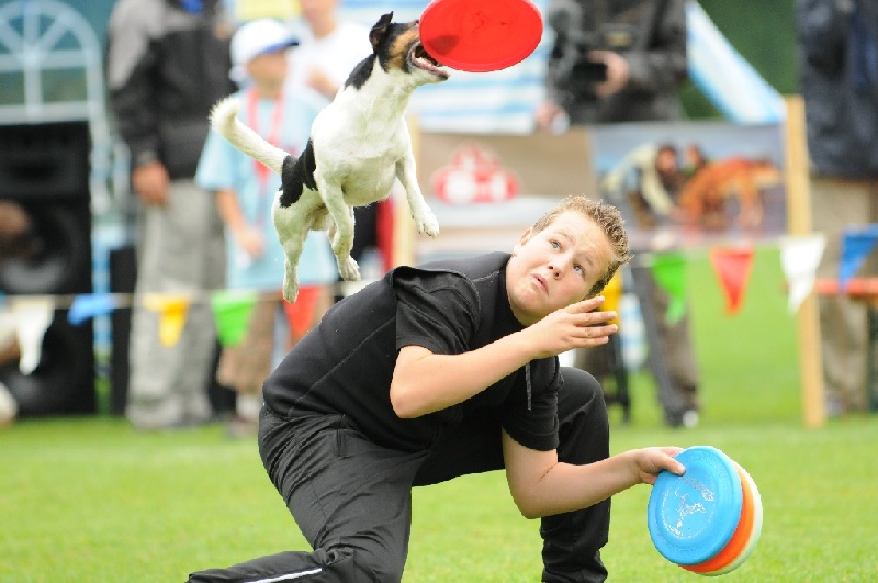 Image 329 of 855  -  192 kB