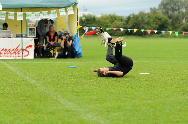 Image 331 of 855  -  228 kB