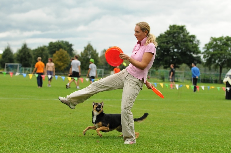 Image 332 of 855  -  210 kB