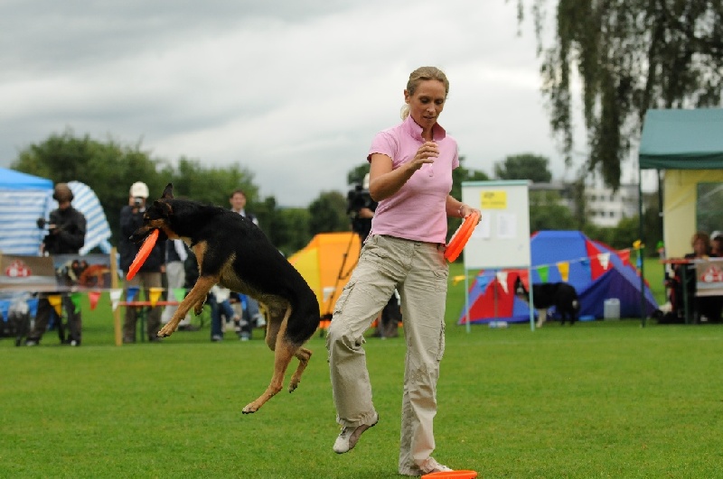 Image 333 of 855  -  205 kB