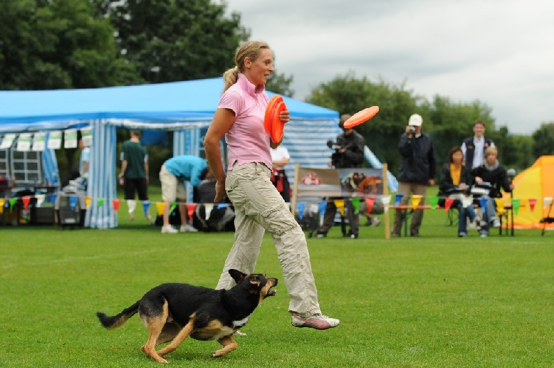 Image 334 of 855  -  224 kB