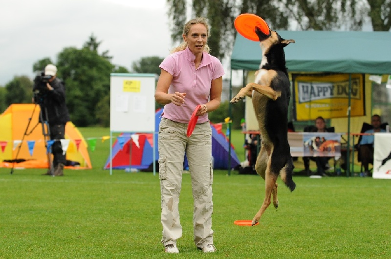 Image 335 of 855  -  225 kB