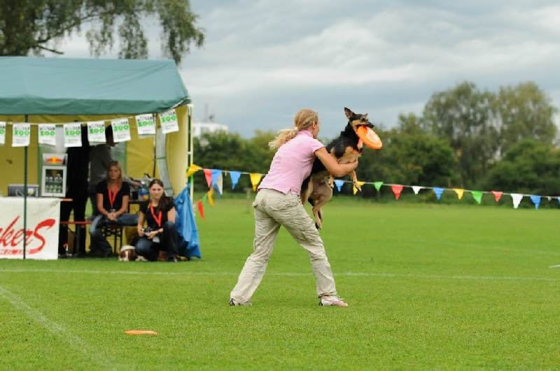 Image 337 of 855  -  222 kB