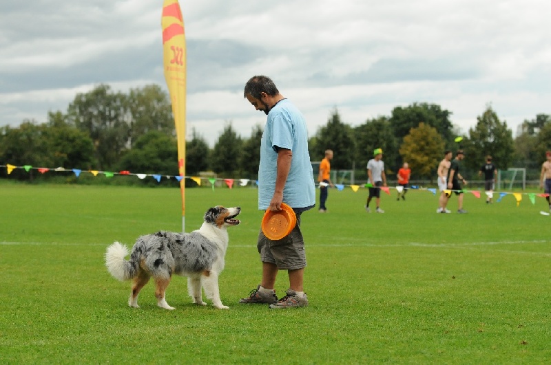 Image 338 of 855  -  212 kB