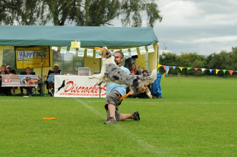 Image 339 of 855  -  240 kB