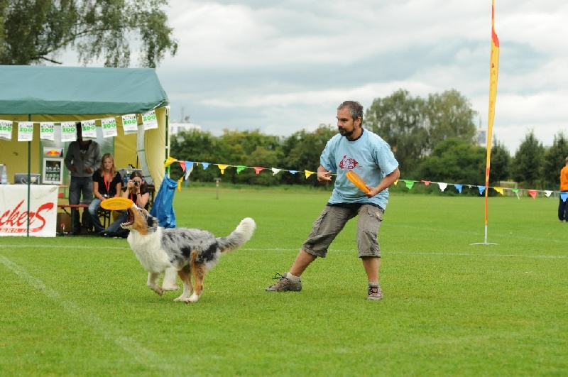 Image 340 of 855  -  231 kB