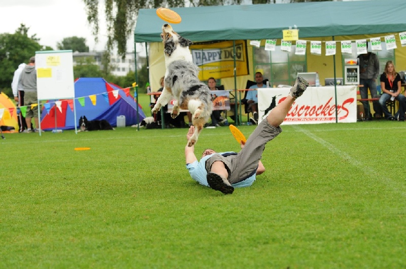 Image 341 of 855  -  246 kB