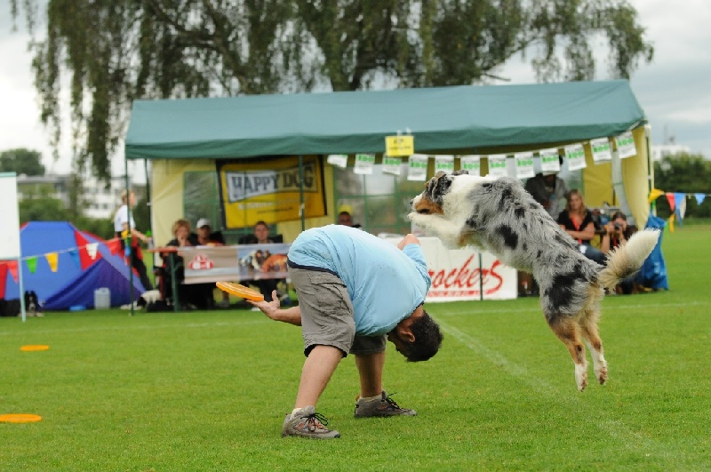 Image 342 of 855  -  241 kB