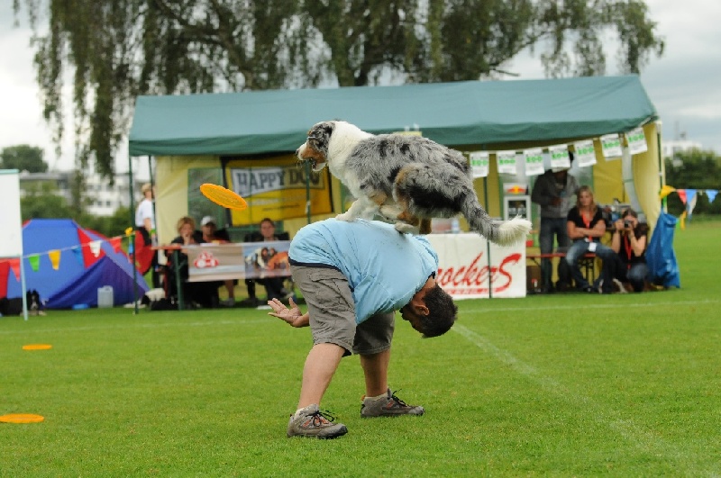 Image 343 of 855  -  242 kB