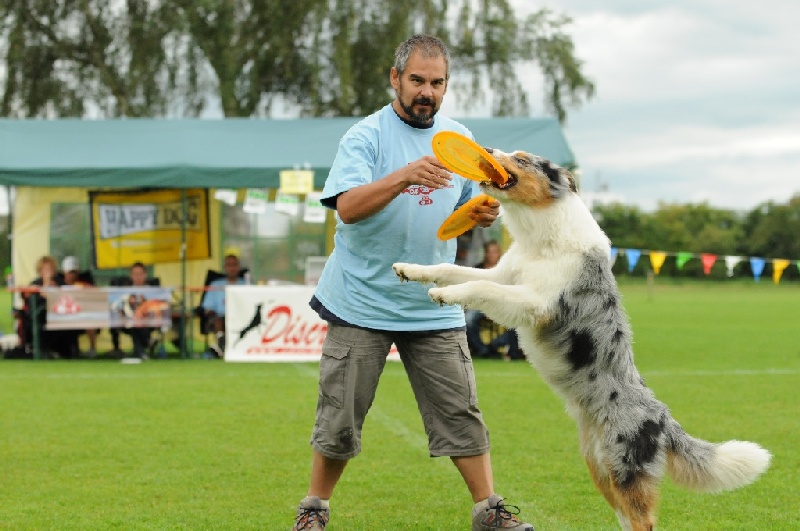 Image 344 of 855  -  212 kB