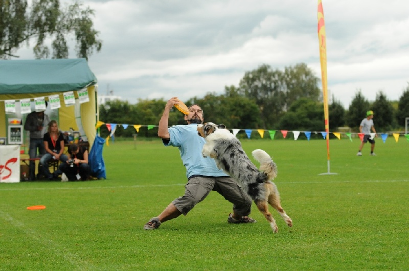 Image 345 of 855  -  218 kB