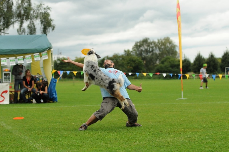 Image 346 of 855  -  215 kB