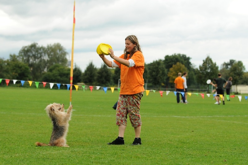 Image 347 of 855  -  204 kB