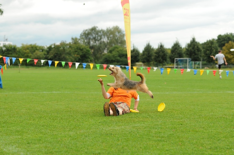 Image 348 of 855  -  214 kB