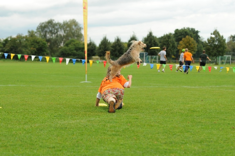 Image 349 of 855  -  219 kB