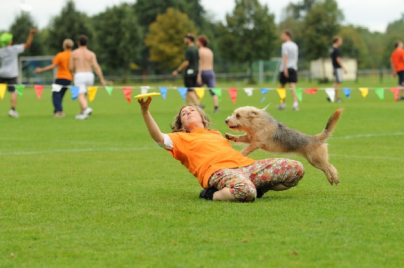 Image 351 of 855  -  222 kB