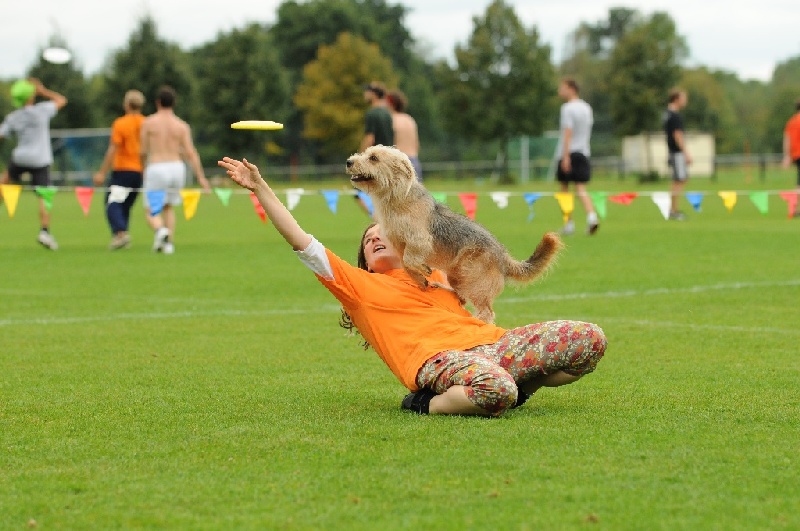 Image 352 of 855  -  218 kB