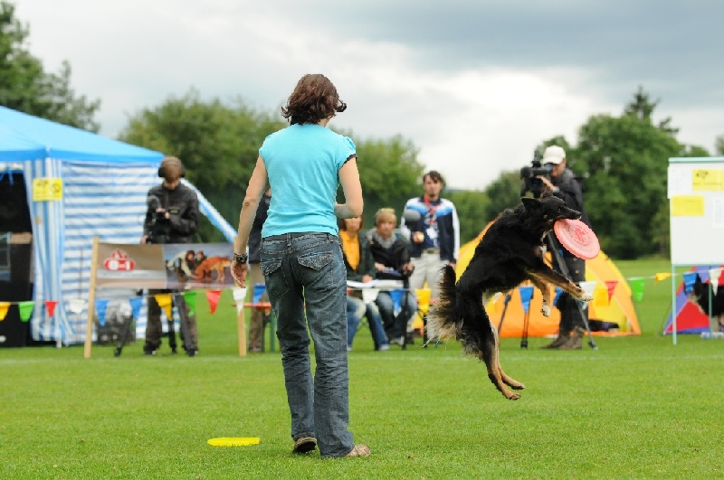 Image 353 of 855  -  222 kB