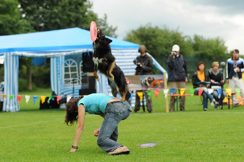 Image 354 of 855  -  224 kB