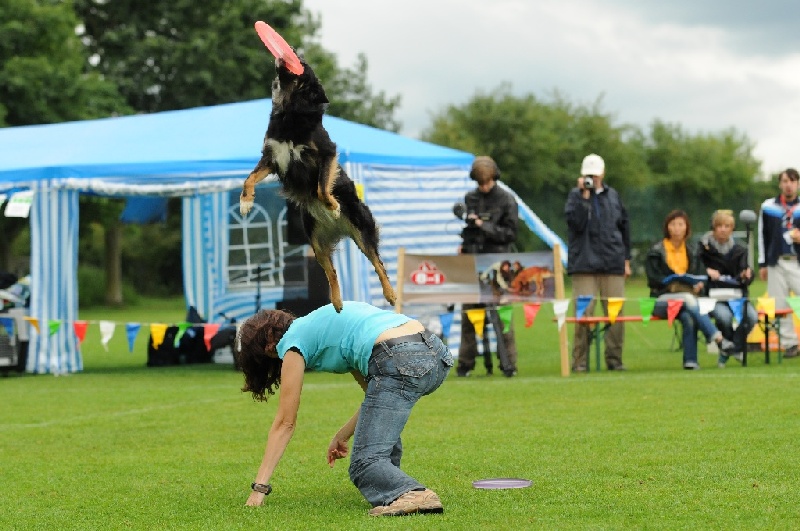 Image 355 of 855  -  230 kB