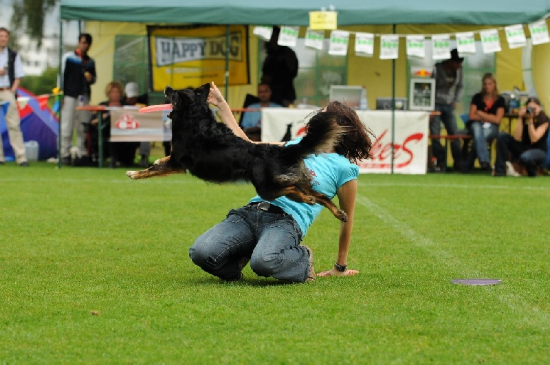 Image 356 of 855  -  239 kB