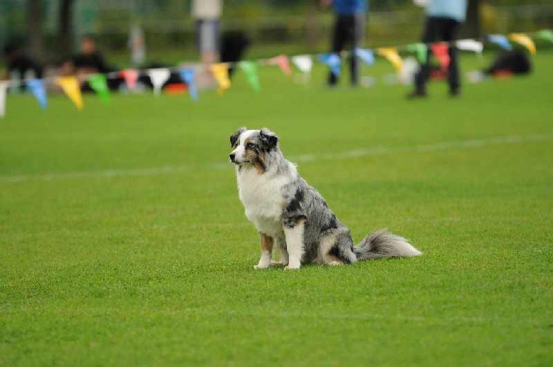 Image 357 of 855  -  206 kB