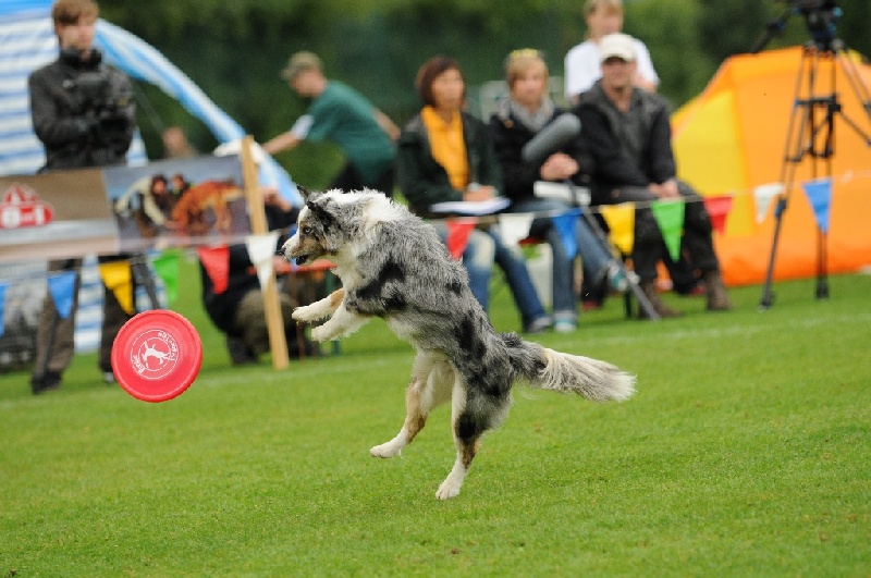 Image 358 of 855  -  233 kB