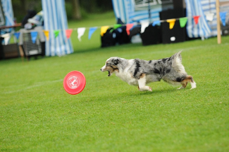 Image 360 of 855  -  215 kB