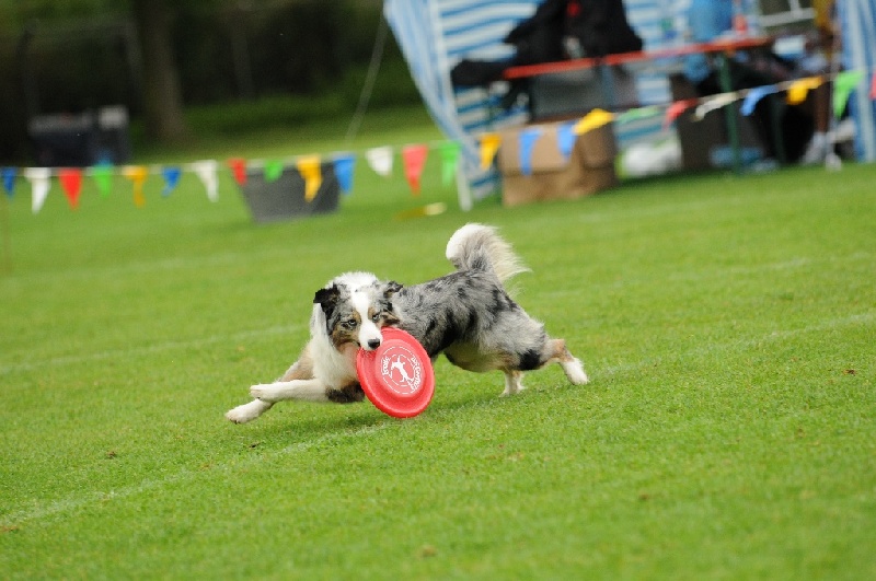 Image 361 of 855  -  212 kB